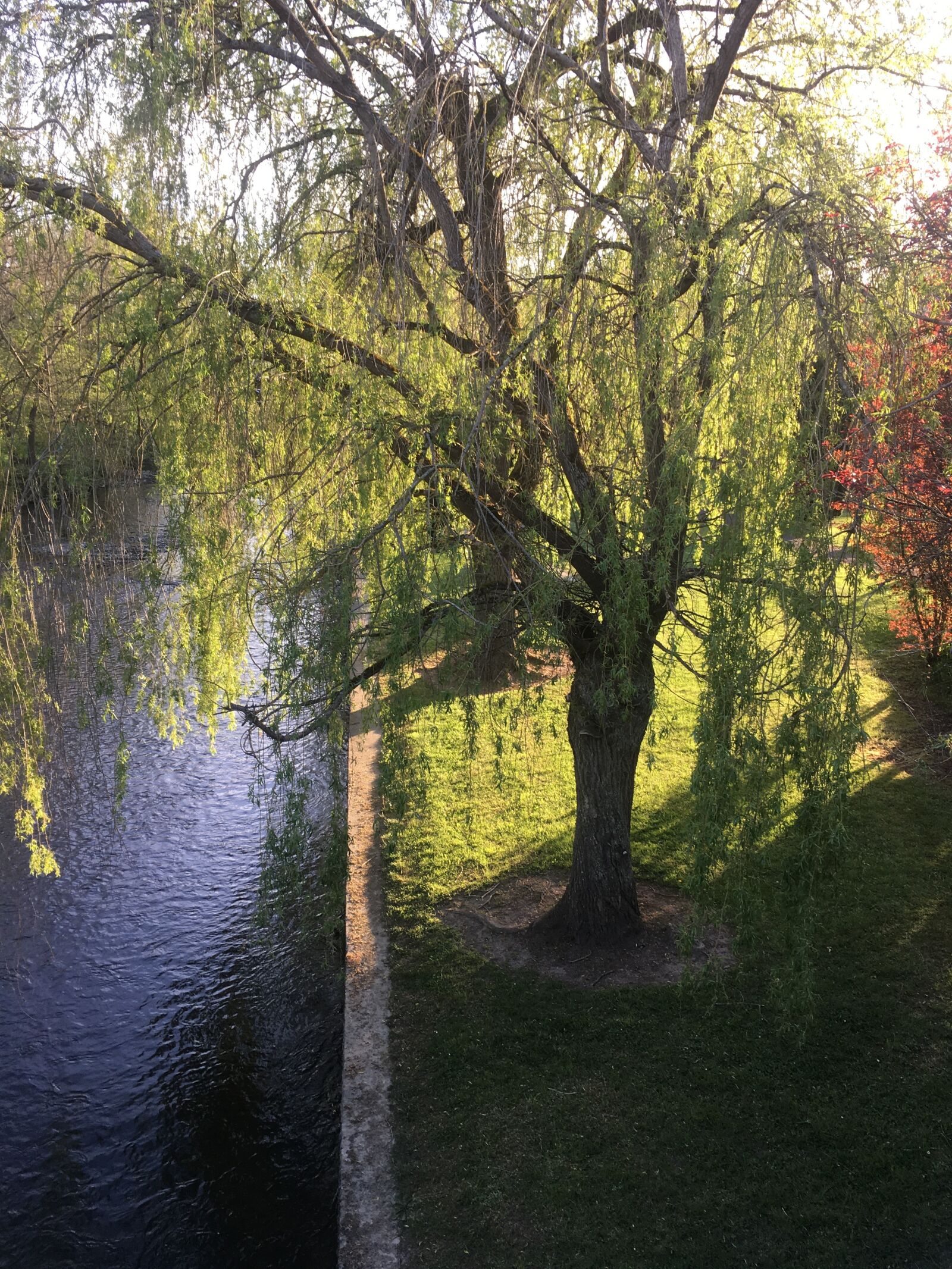 Apple iPhone 6s sample photo. Wellin, lesse, water photography