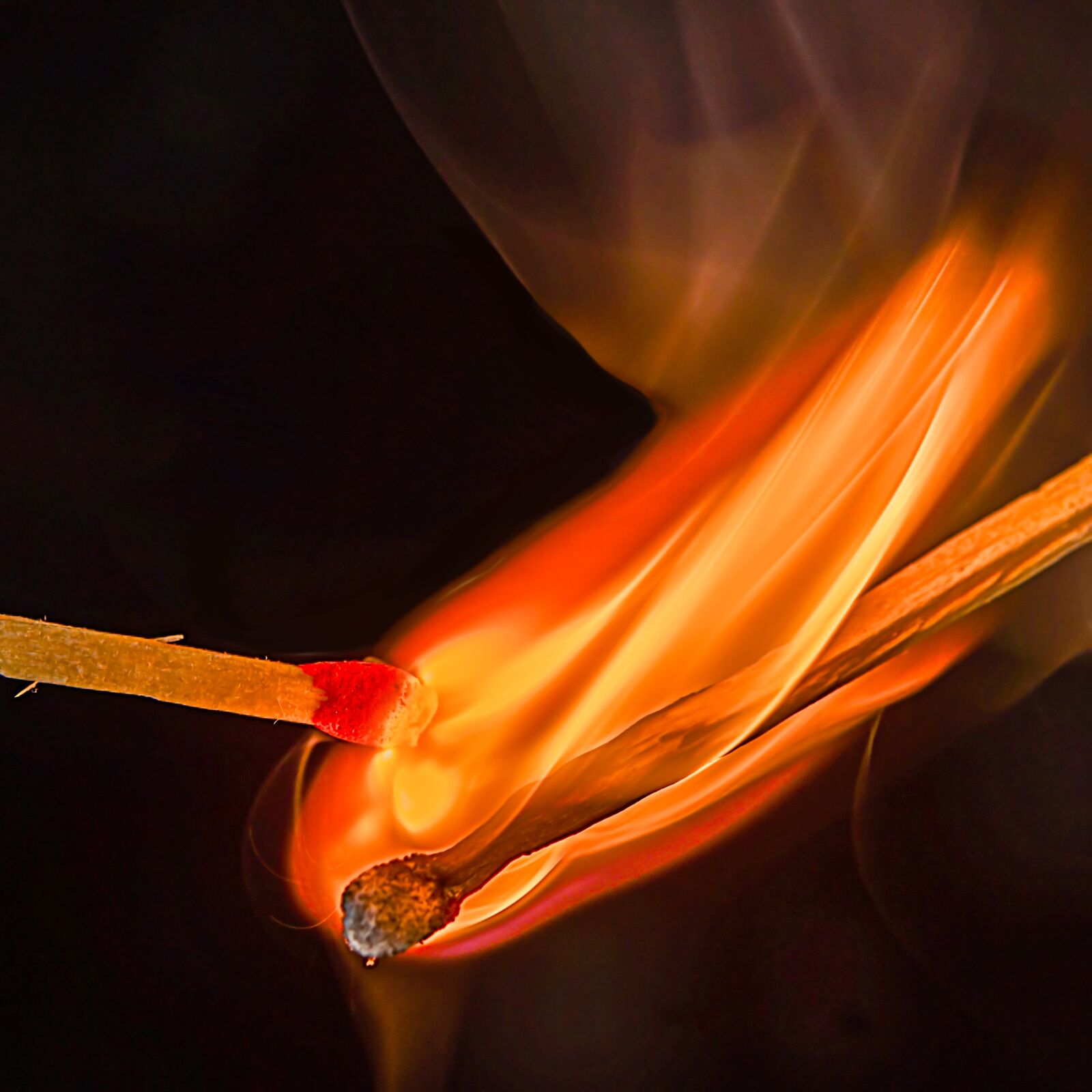 Nikon D800 sample photo. Flame, matches, fire photography
