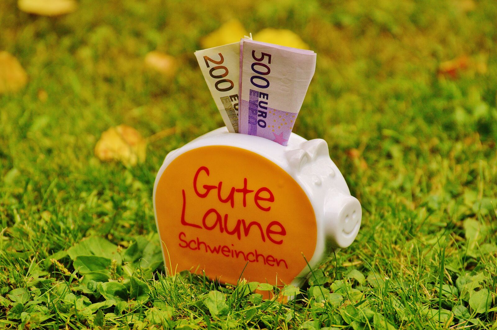 Nikon D3200 sample photo. Piggy bank, money, dollar photography