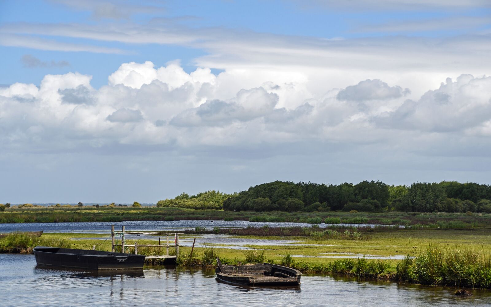 Nikon D500 sample photo. Marsh, bri re, loire photography