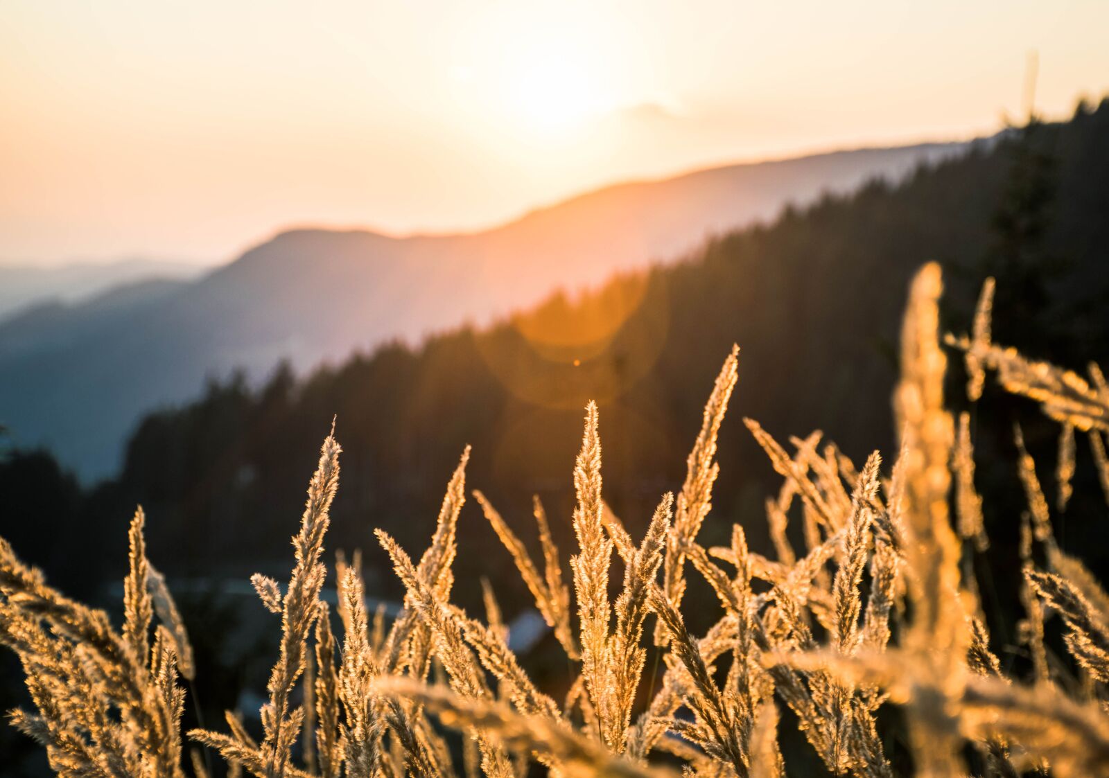 Nikon D5300 sample photo. Summer, sunset, mountains photography