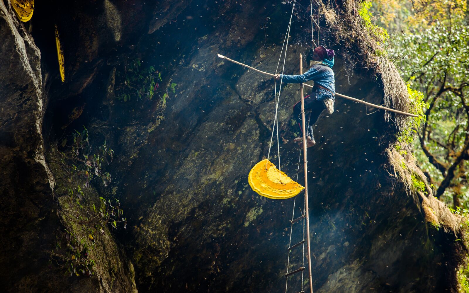 Canon EOS 6D Mark II + Canon EF 70-200mm F4L USM sample photo. Honey-hunting, travel, honey photography