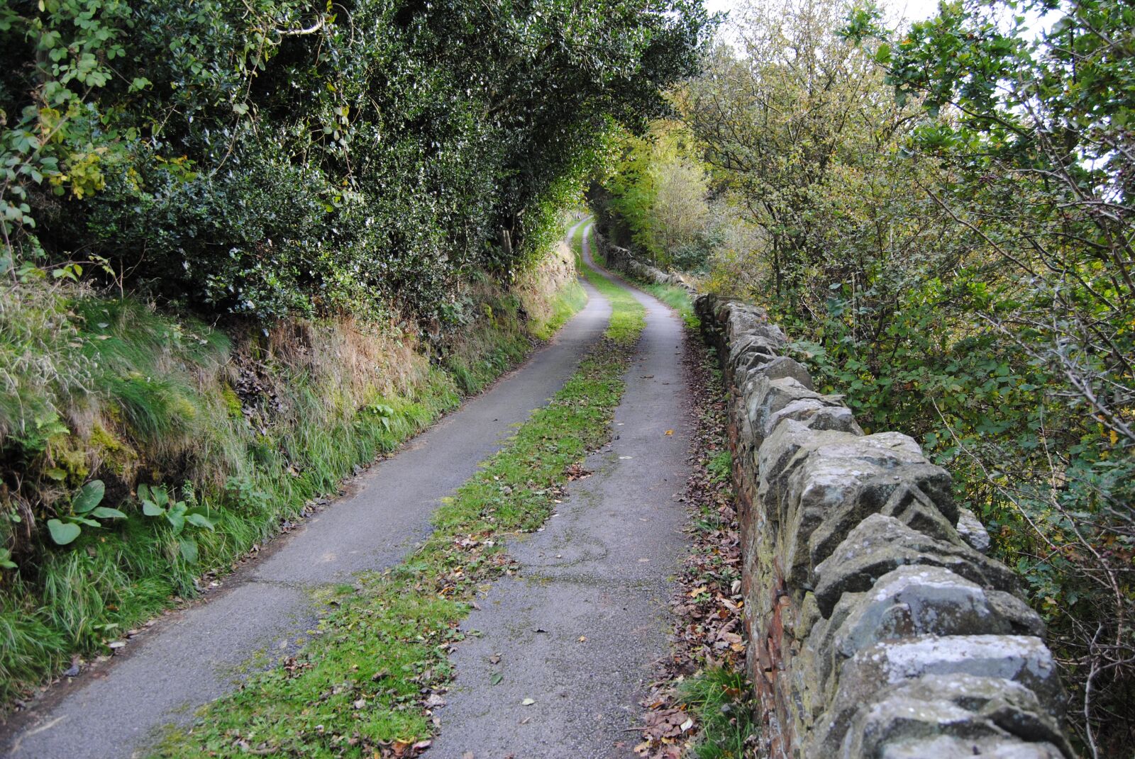 Nikon D3000 sample photo. Lane, wall, tracks photography