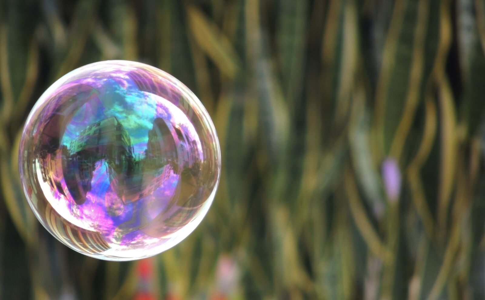 Nikon Coolpix P510 sample photo. Graphics, bubble, soap photography