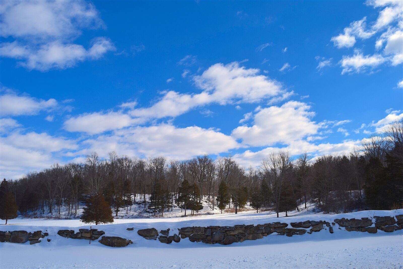 Nikon D3300 sample photo. Snow, field, blue photography