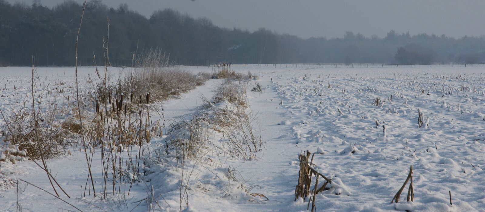 Sony Alpha DSLR-A700 sample photo. Snow, winter landscape, helvoirt photography