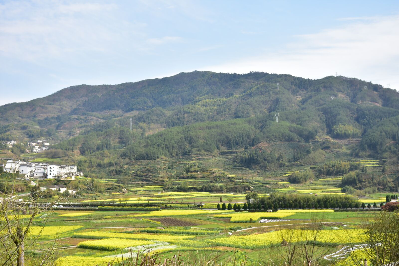 Nikon D7200 sample photo. Rape, jiangnan, terrace photography