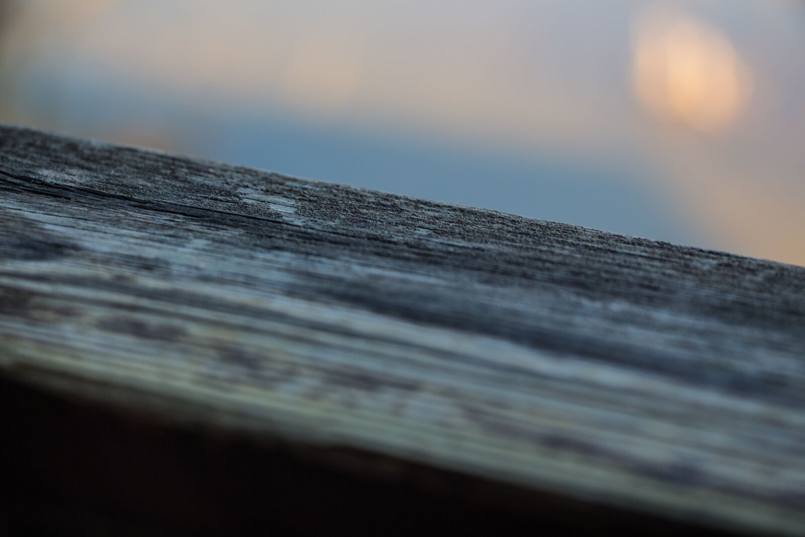 Canon EOS 650D (EOS Rebel T4i / EOS Kiss X6i) sample photo. Wood, focus, out of photography