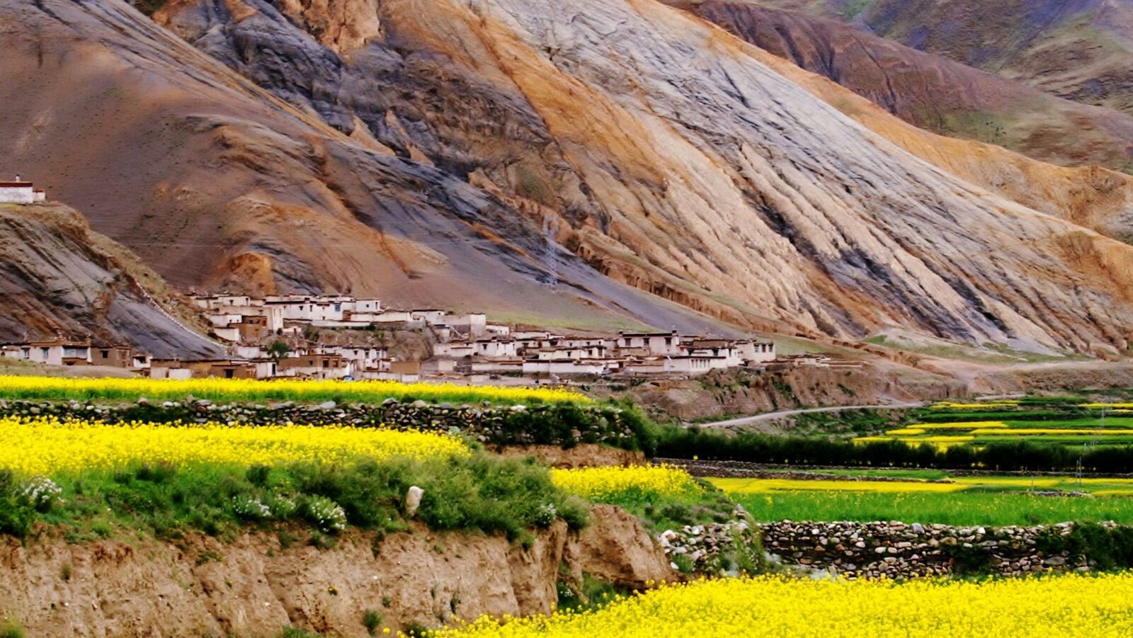 KONICA MINOLTA DYNAX 7D sample photo. Landscape, culture, tibet photography