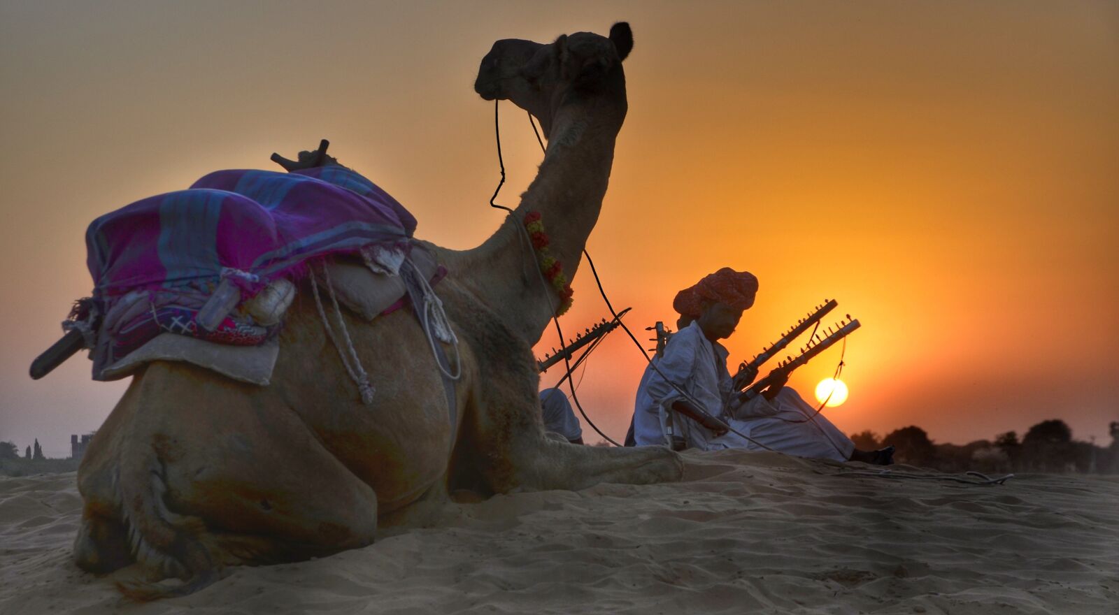 Nikon D5100 sample photo. Rajasthan, camel, safari photography