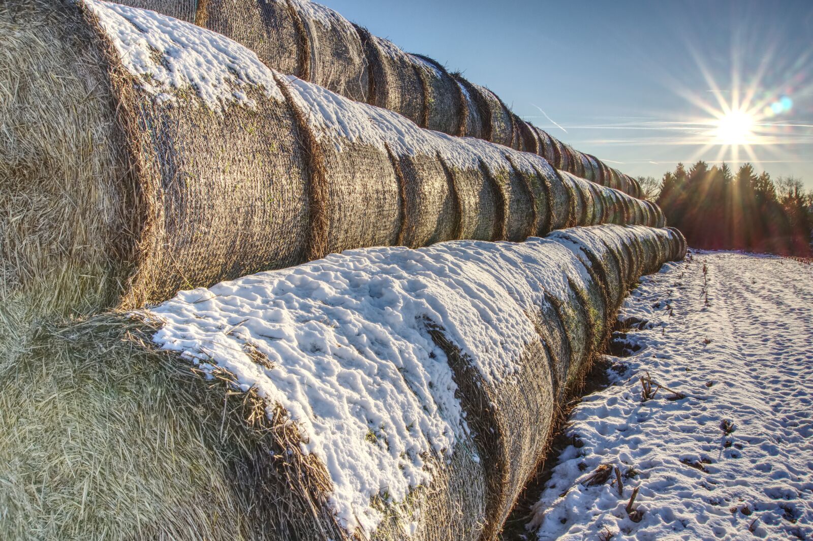 Sony Alpha a5000 (ILCE 5000) sample photo. Snowy, straw bales, straw photography