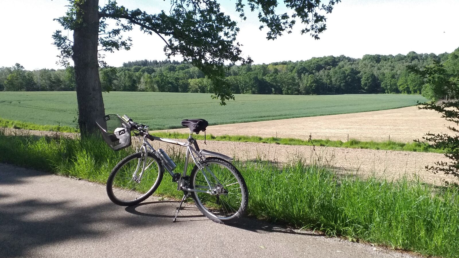 Samsung Galaxy J6+ sample photo. Bike, ride, cycling photography