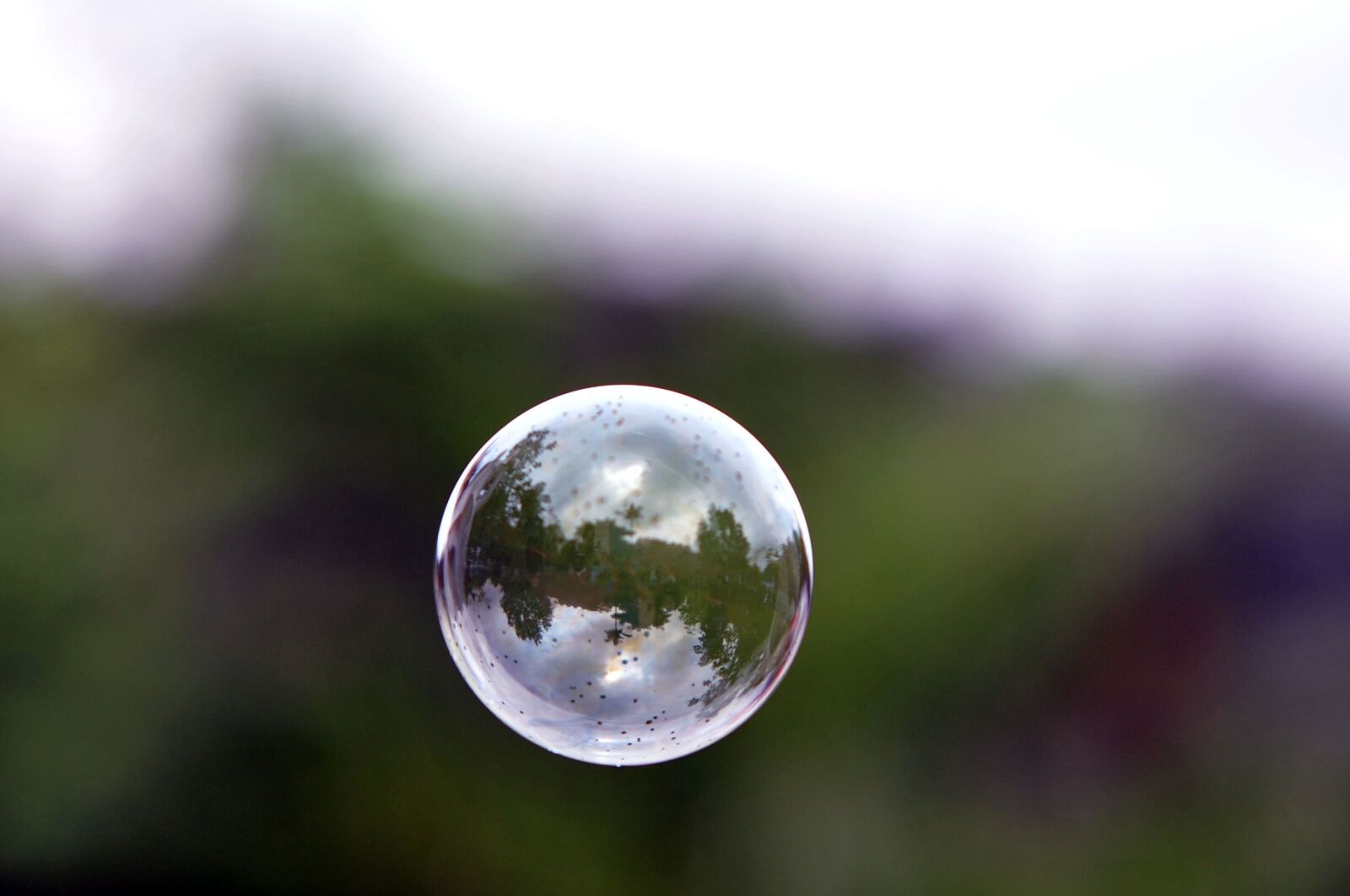 Nikon D700 sample photo. Pop, fly, little photography