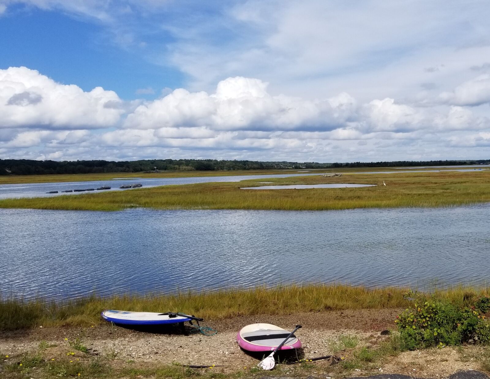 Samsung Galaxy S8 sample photo. Coastal, kayaks, maine photography
