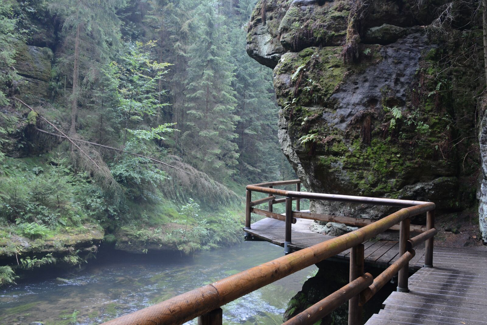 Nikon D7100 sample photo. Hřensko, rock, tourism photography