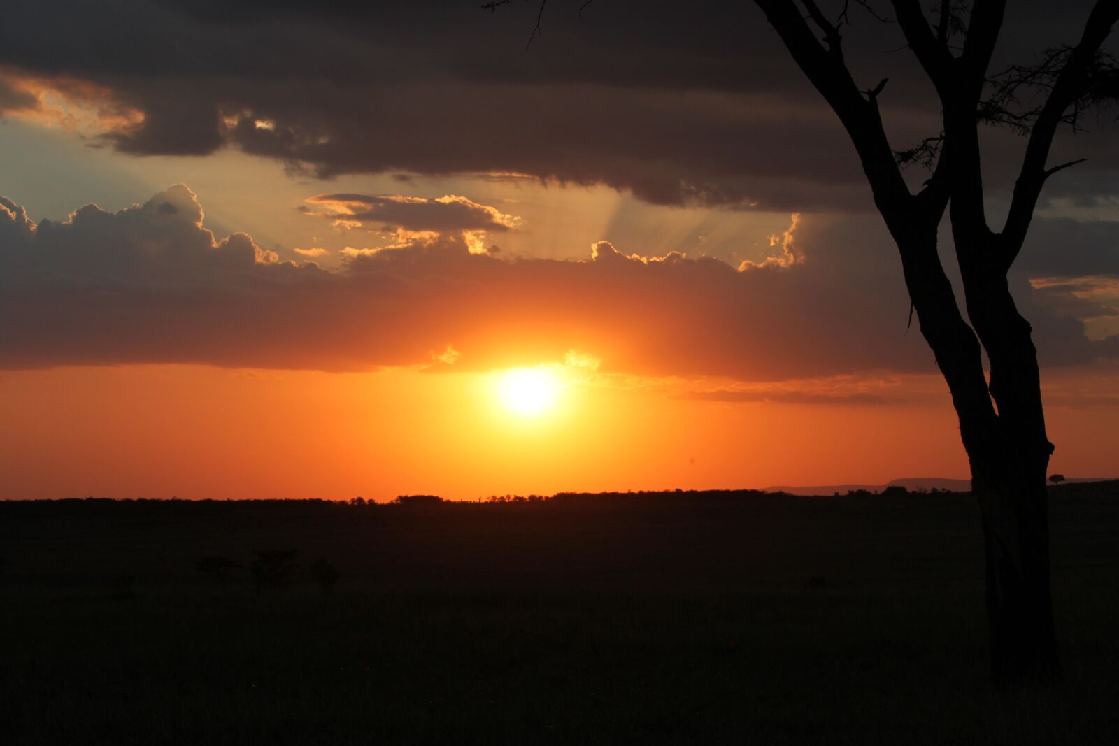 Canon EOS 500D (EOS Rebel T1i / EOS Kiss X3) sample photo. Sunset, africa, sky photography