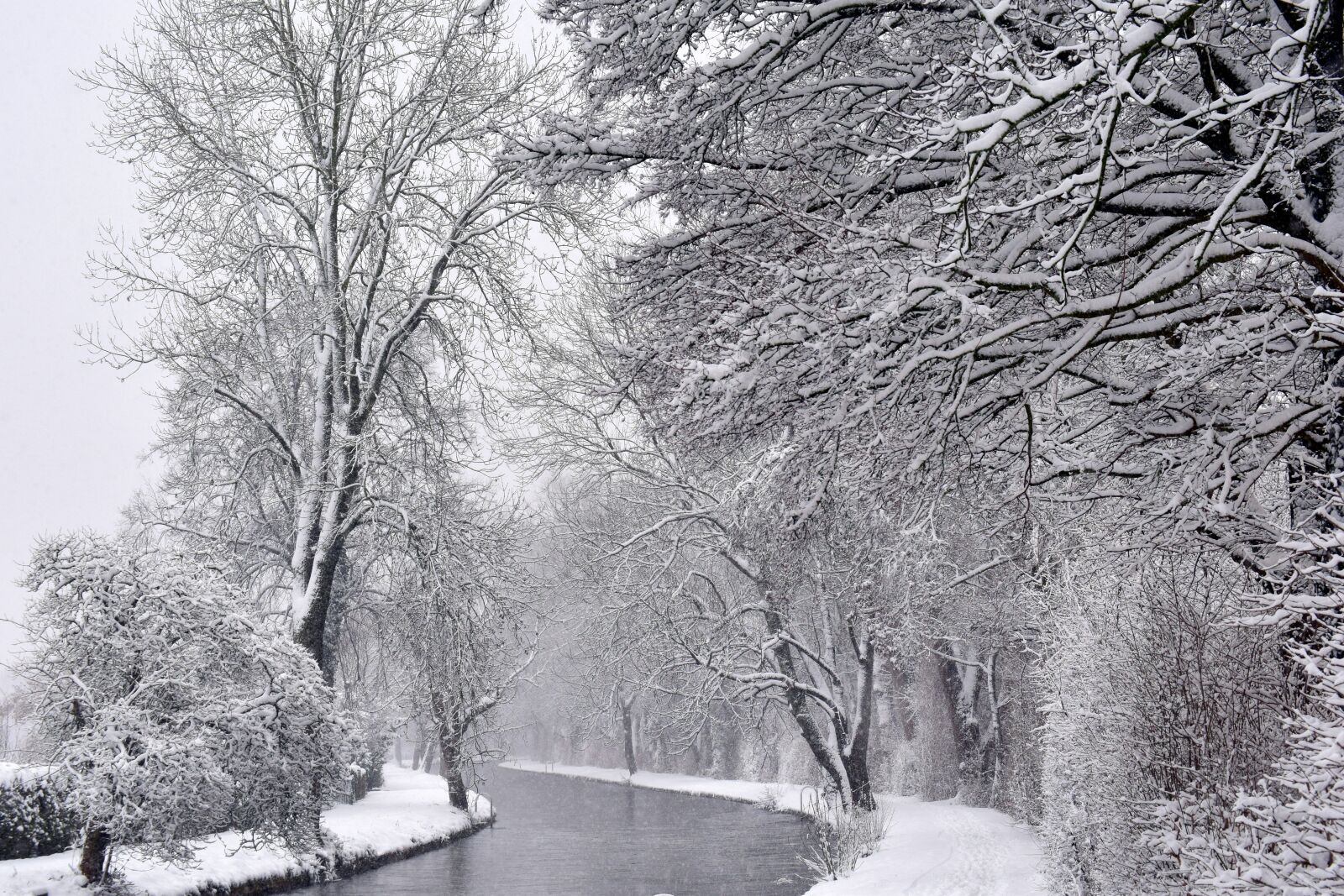 Nikon D3300 sample photo. Winter, snow, cold photography