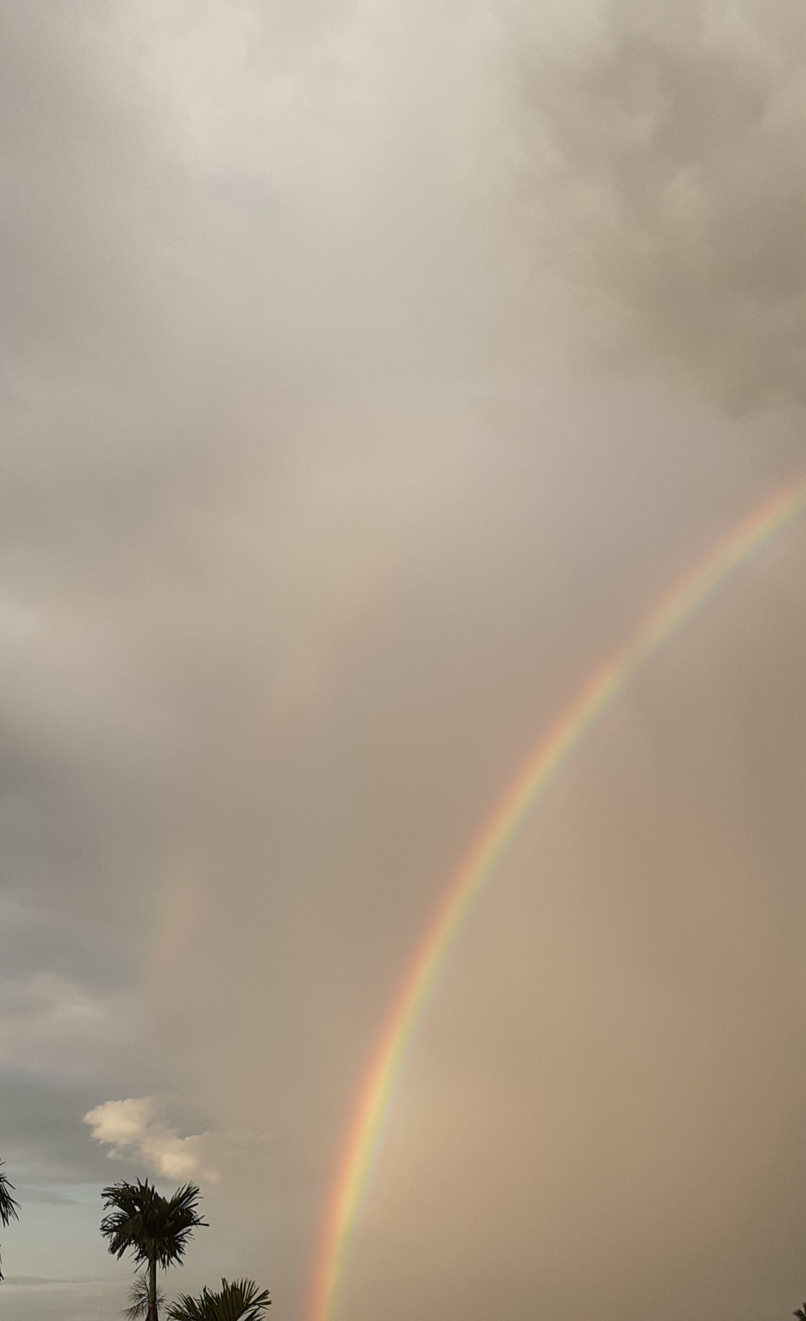 Samsung SM-M205F sample photo. Rainbow, sky, landscape photography