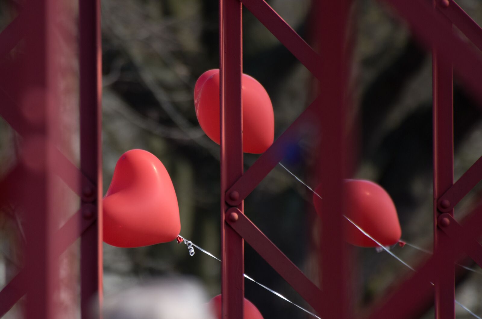 Pentax K-3 sample photo. Balloon, romance, heart shape photography