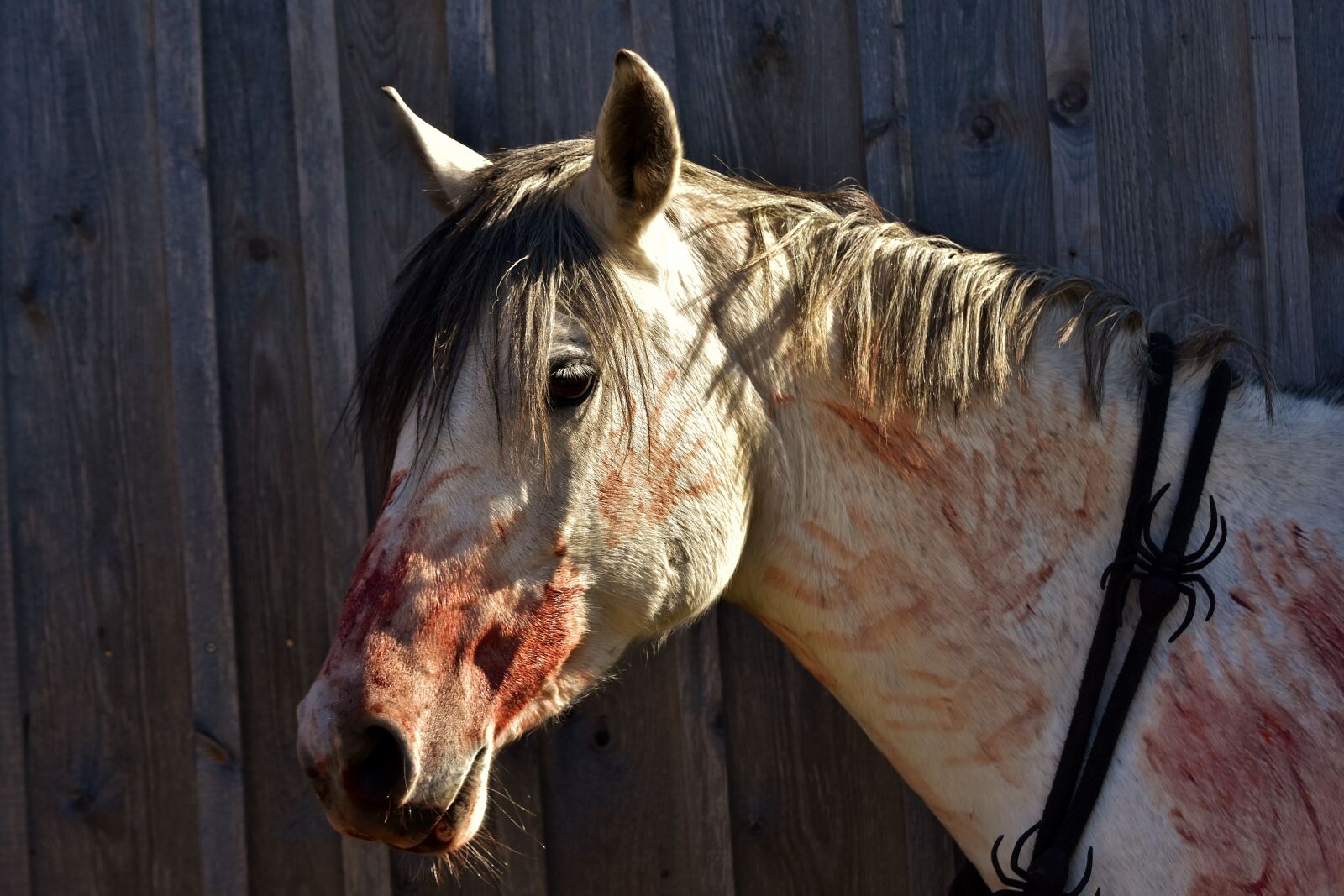 Nikon D7200 sample photo. Halloween, bloody, art blood photography