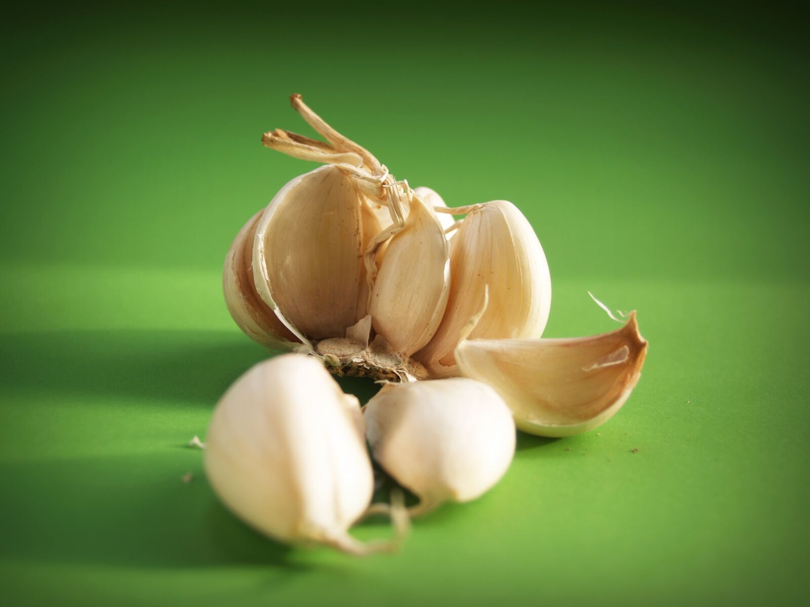 Olympus E-300 (EVOLT E-300) sample photo. Garlic, meals, seasoning photography