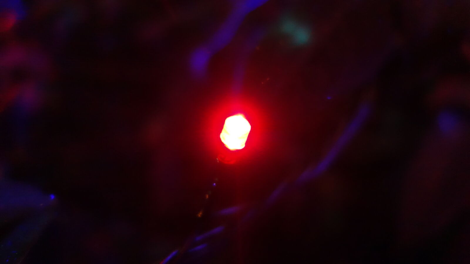 Sony Cyber-shot DSC-RX100 sample photo. Close, up, of, red photography