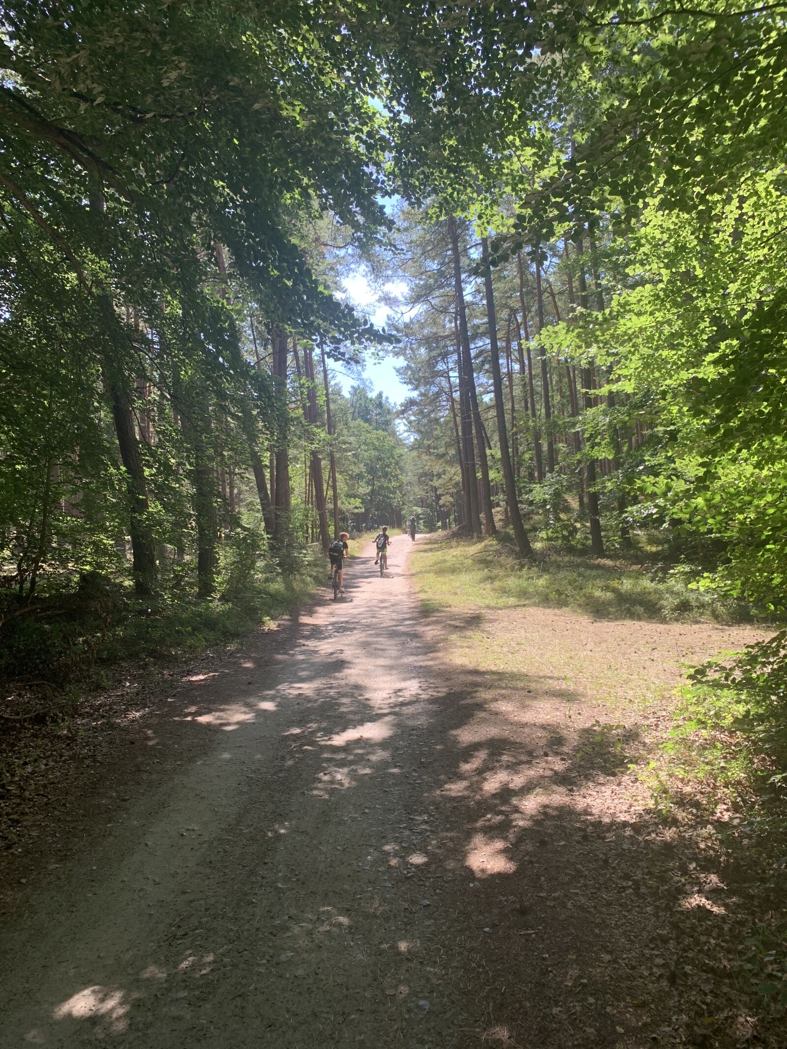 Apple iPhone XS Max sample photo. Cycle path, forest, sun photography