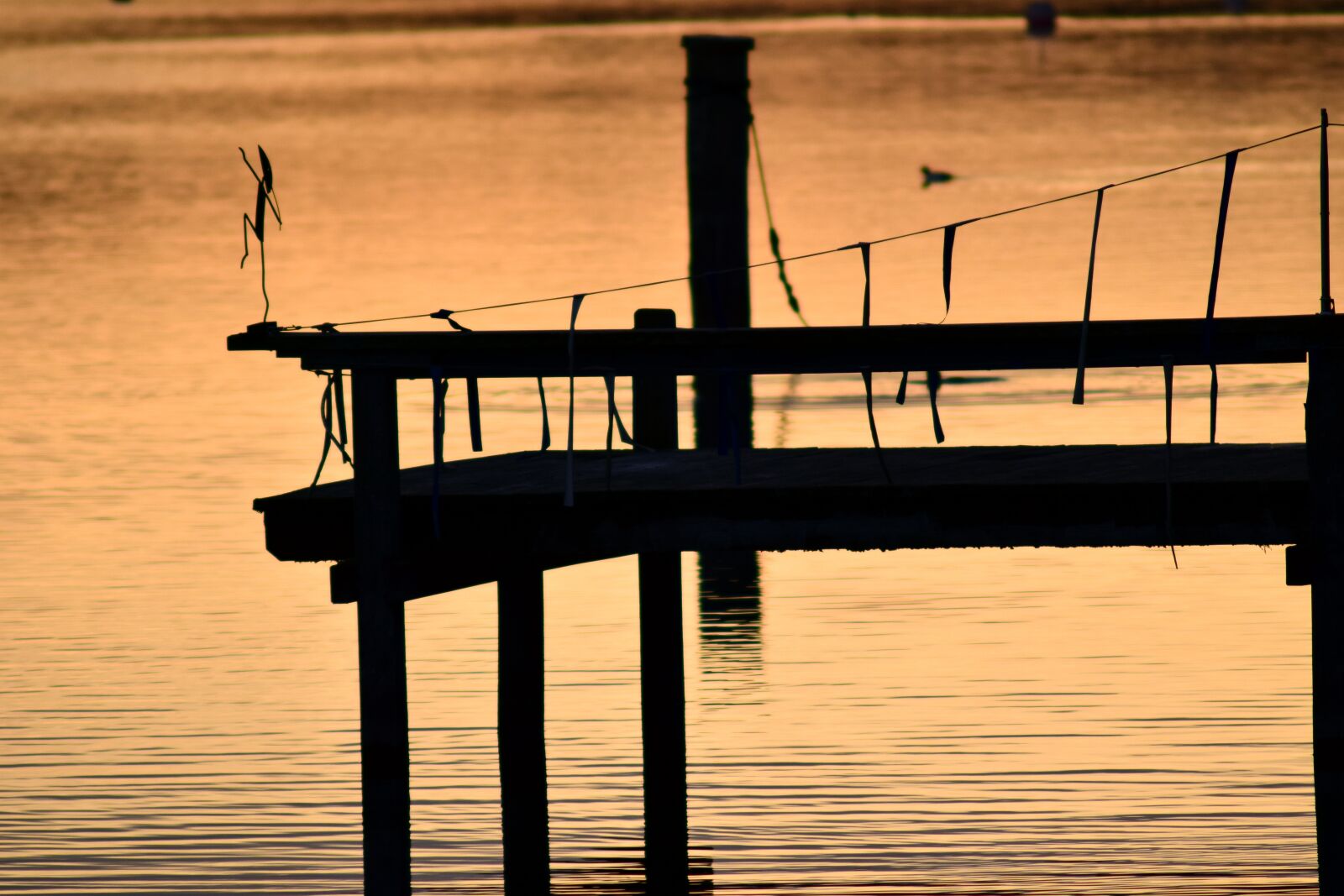 Nikon D3300 sample photo. Web, water, lake photography