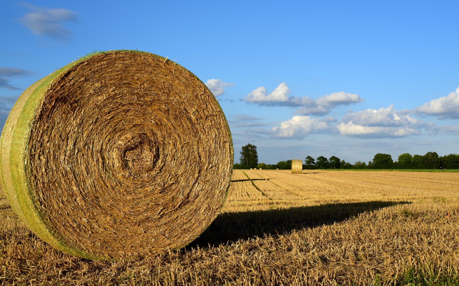 Nikon D750 sample photo. Hay, hay bales, agriculture photography