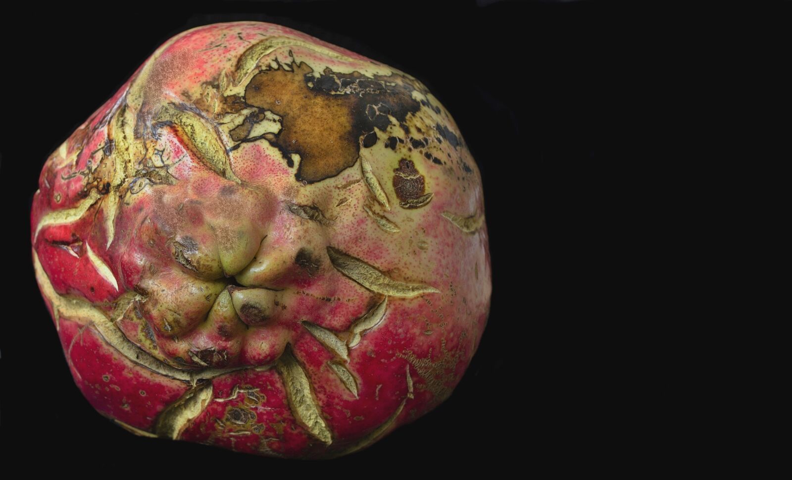 Nikon D5100 sample photo. Pomegranate, red, plans photography