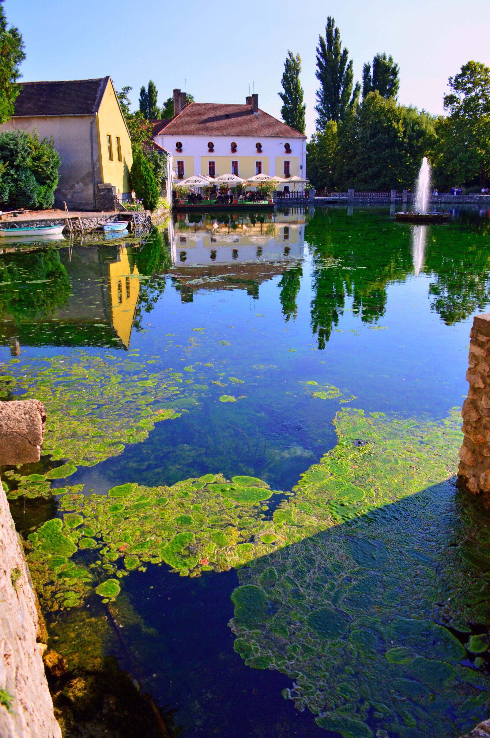 Nikon D3200 sample photo. Lake, tapolca lake, water photography