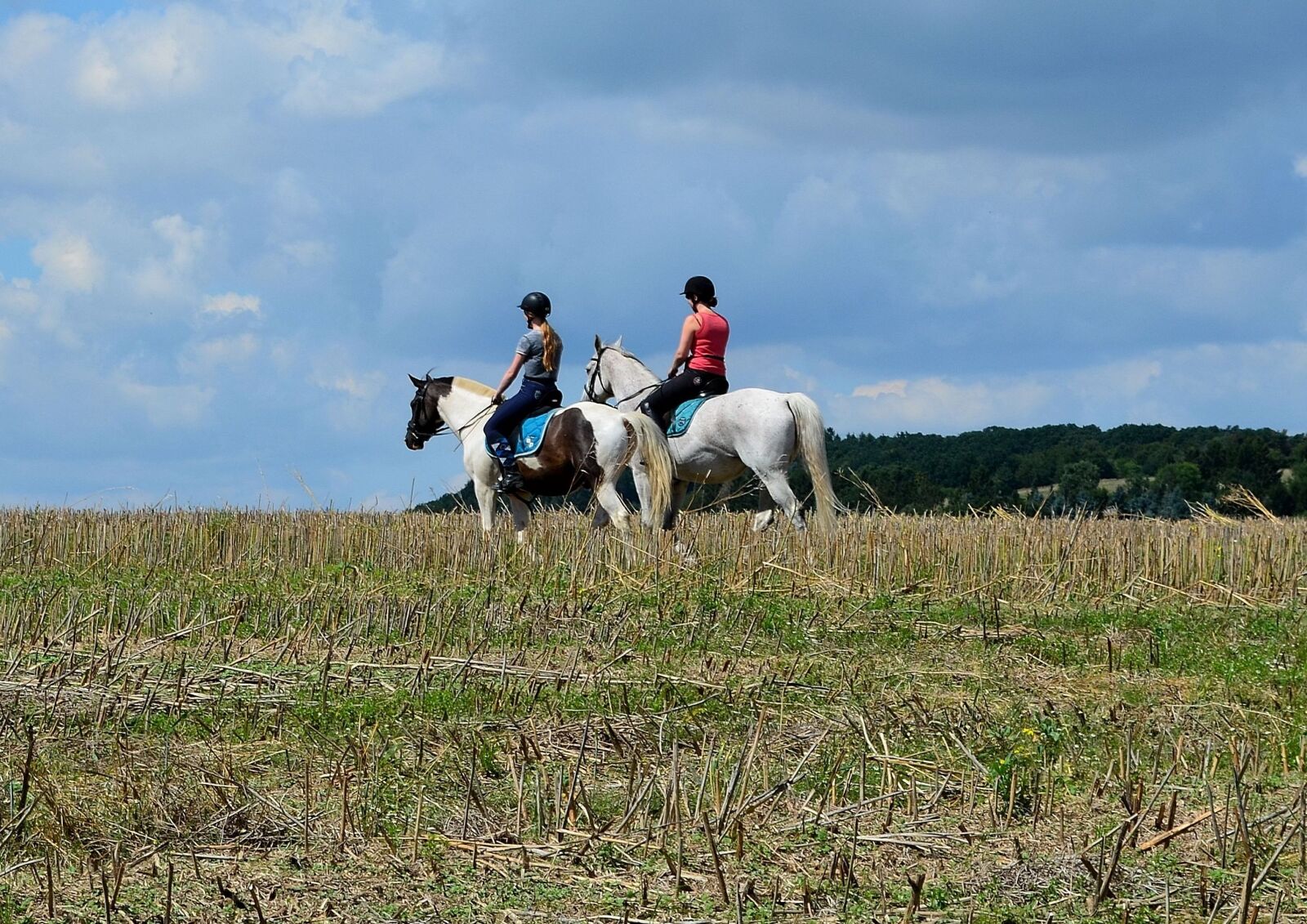 Nikon D5100 sample photo. Ride, equestrian, riding horses photography