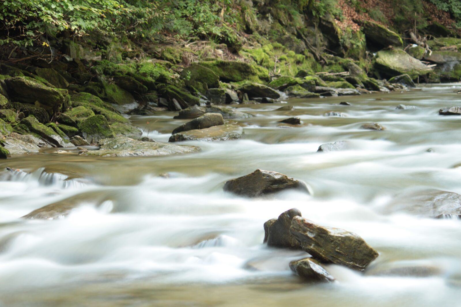Canon EOS 500D (EOS Rebel T1i / EOS Kiss X3) sample photo. Water, river, landscape photography