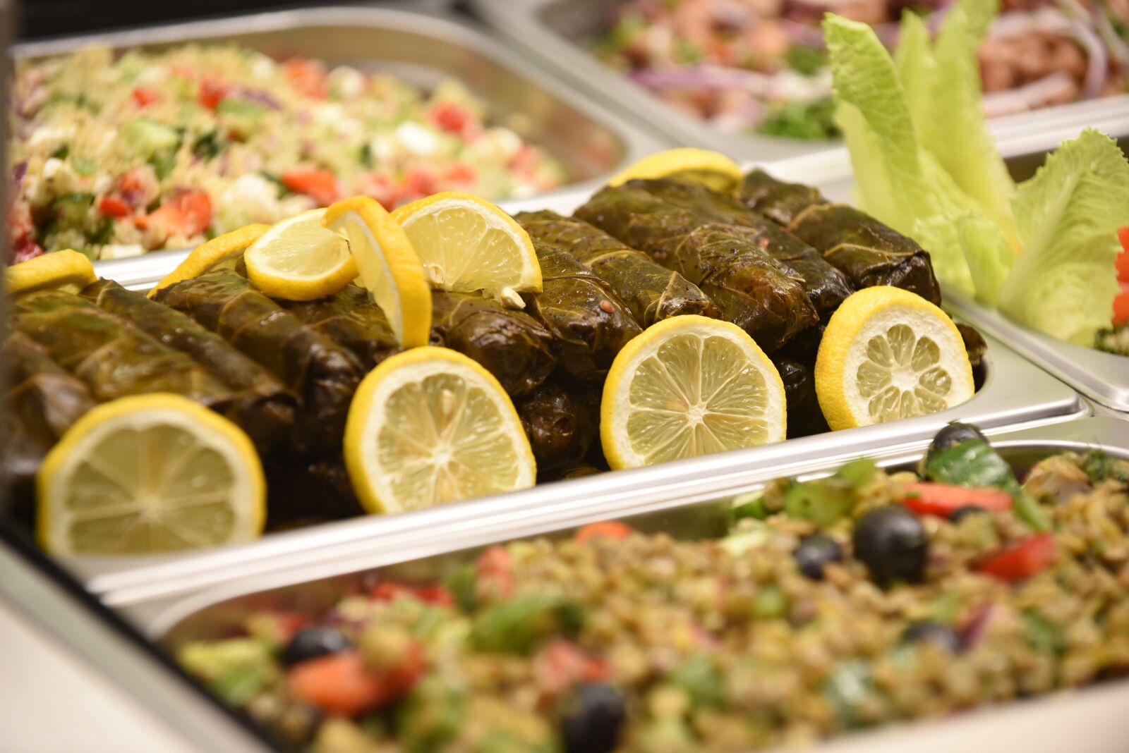 Nikon D750 sample photo. Food, appetizer, grape leaf photography