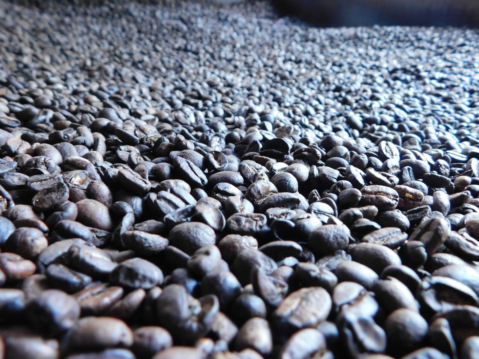 Nikon Coolpix B500 sample photo. Coffee, grain, roasted coffee photography