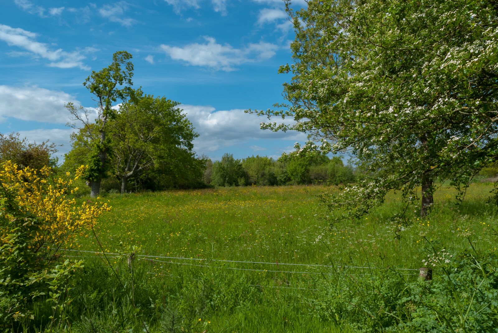 Nikon D80 sample photo. Landscape, prairie, spring photography