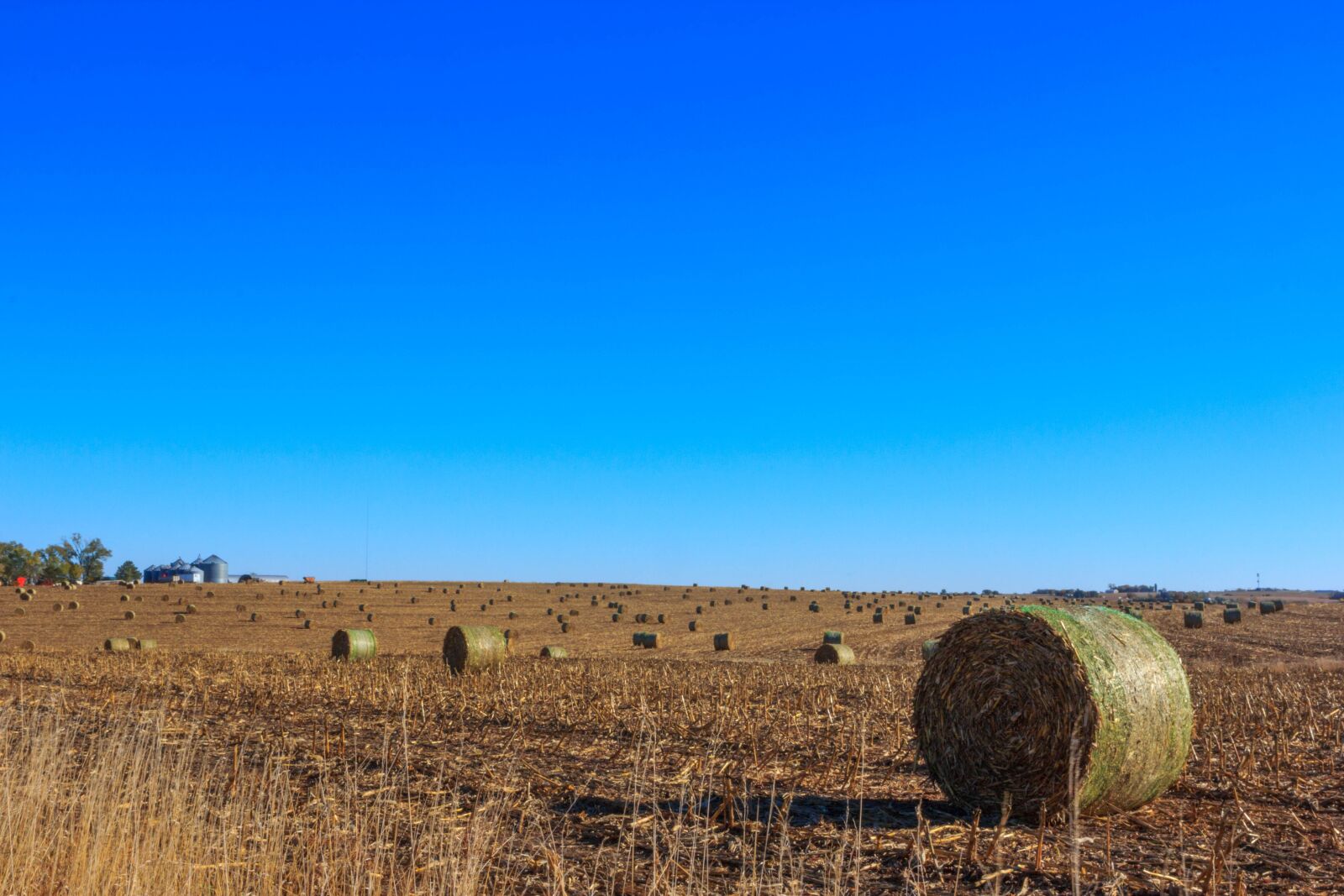 Canon EOS 60D + Canon EF 24-70mm F2.8L USM sample photo. Hay, field, hay bales photography