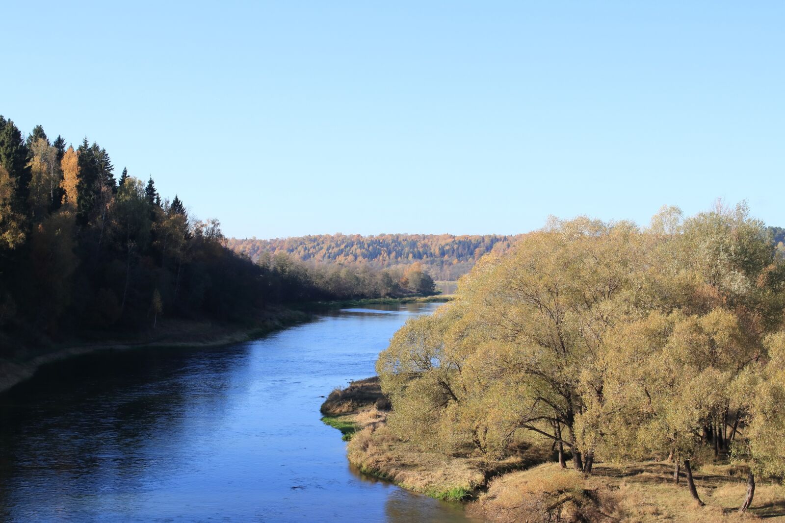 Canon EOS 77D (EOS 9000D / EOS 770D) sample photo. Autumn, river, forest photography