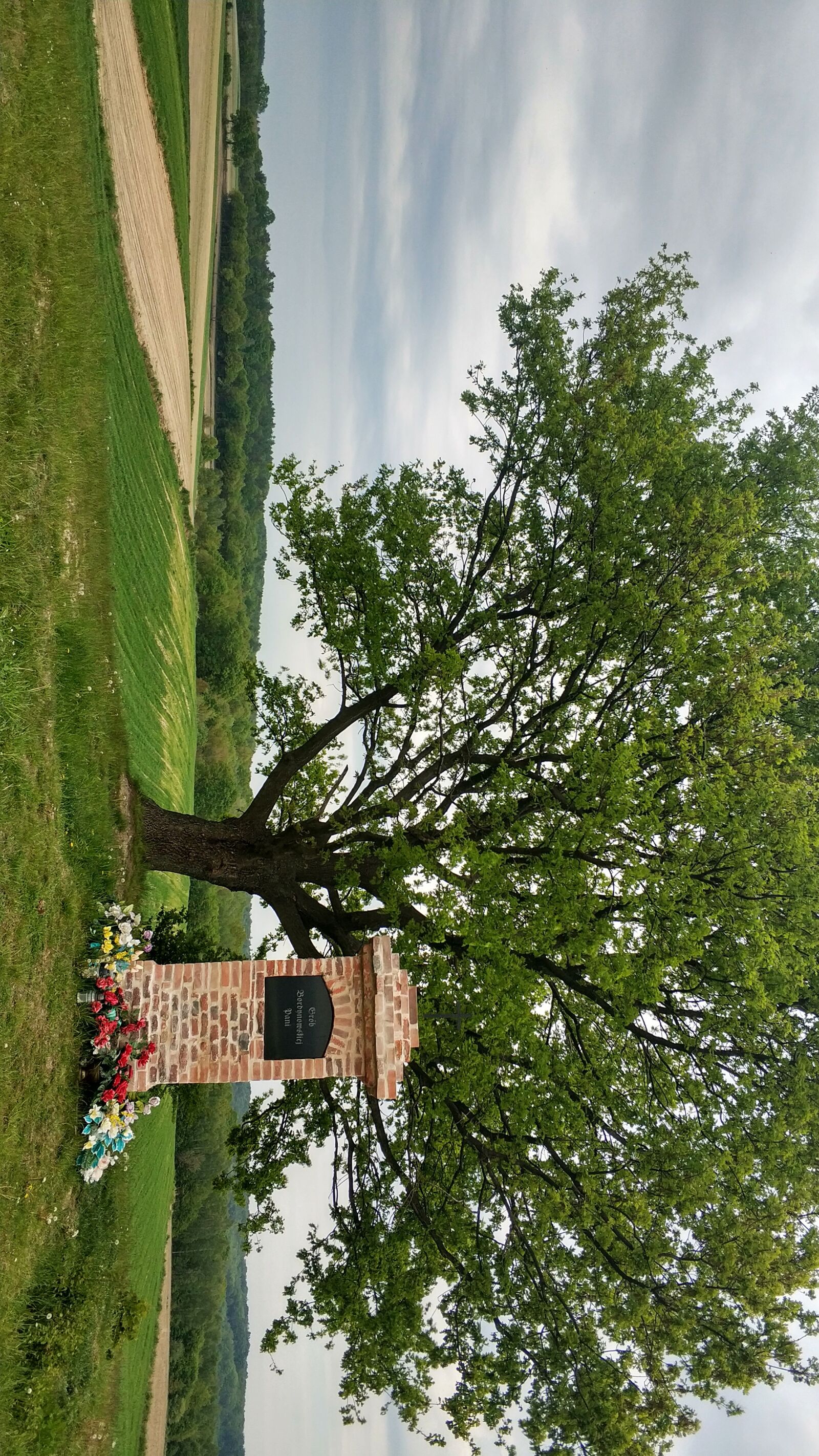 Xiaomi Mi Note 3 sample photo. Village, field, tree photography