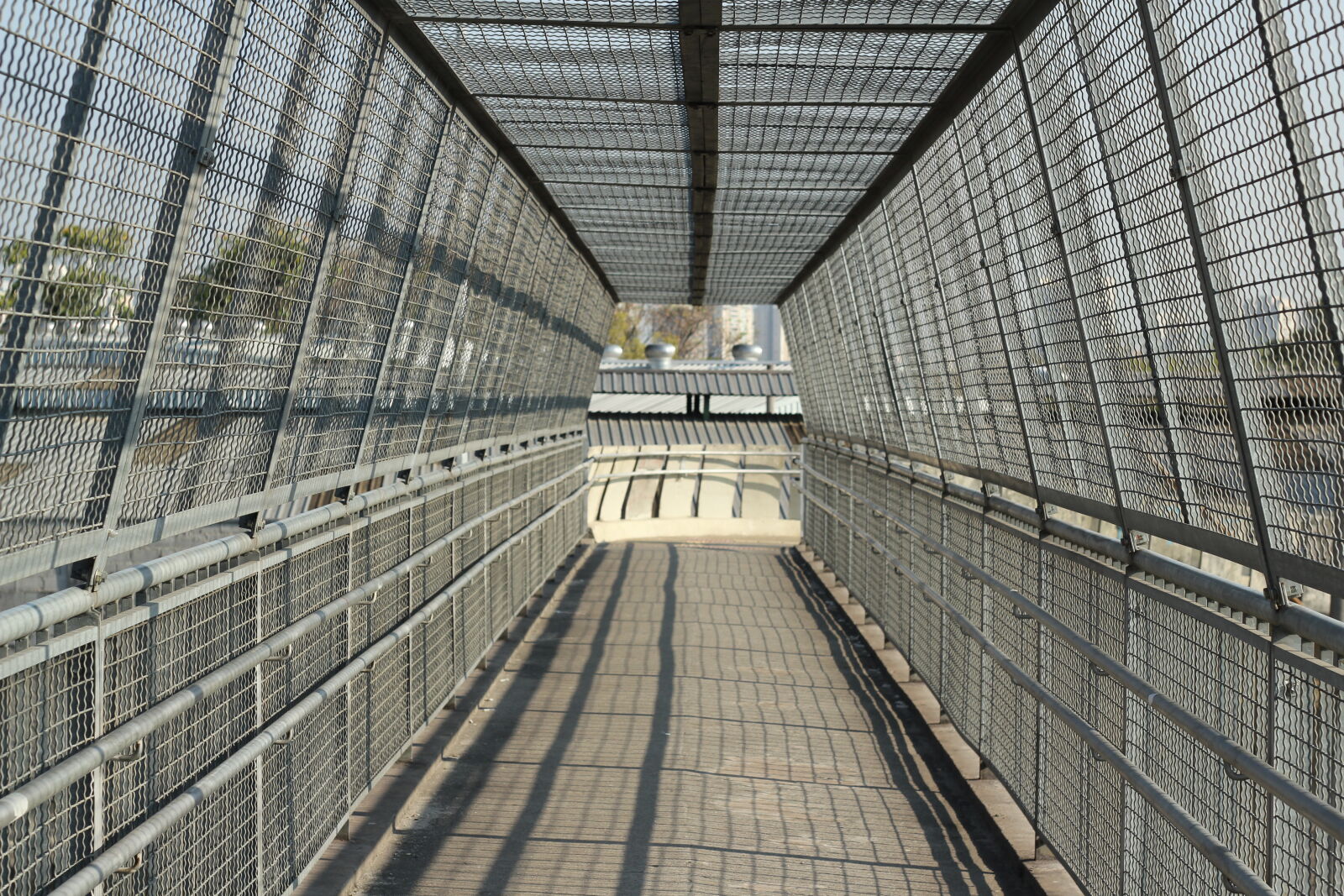 Canon EOS 550D (EOS Rebel T2i / EOS Kiss X4) sample photo. Adobe, photoshop, apple, brasil photography