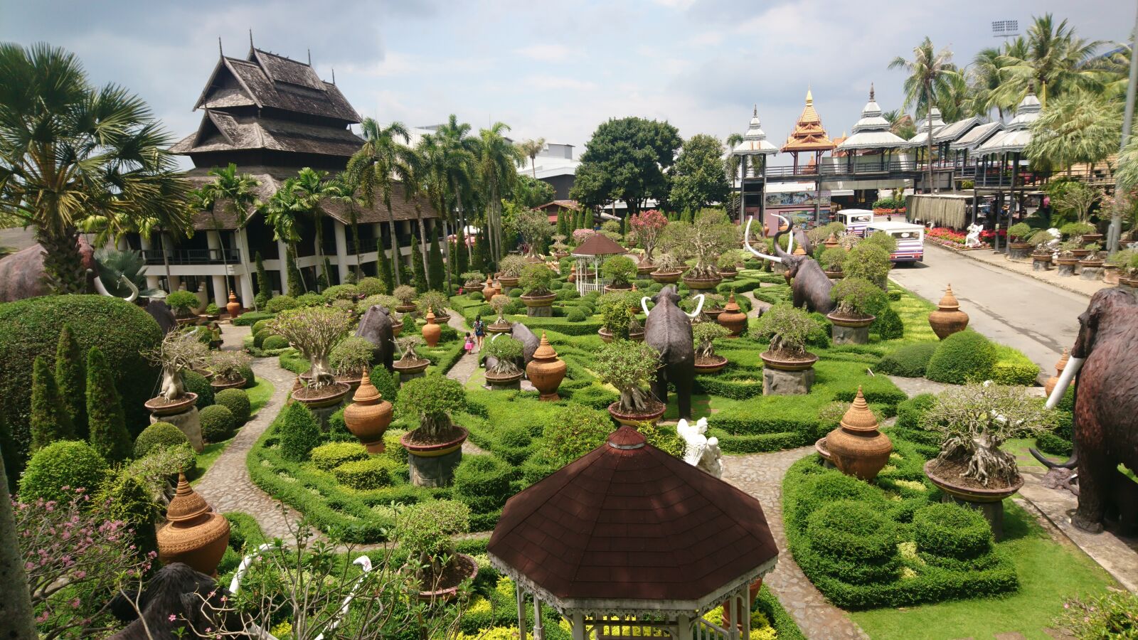 Sony Xperia X sample photo. Garden, flora, flower photography