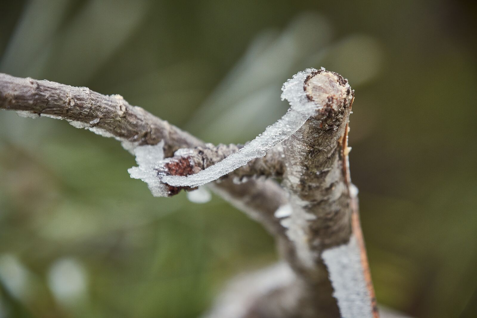 Nikon D7200 sample photo. Outbreaks, frozen, frost photography