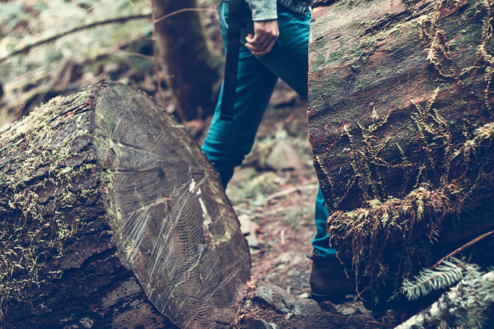 Canon EOS 50D sample photo. Wood, nature, firewood photography