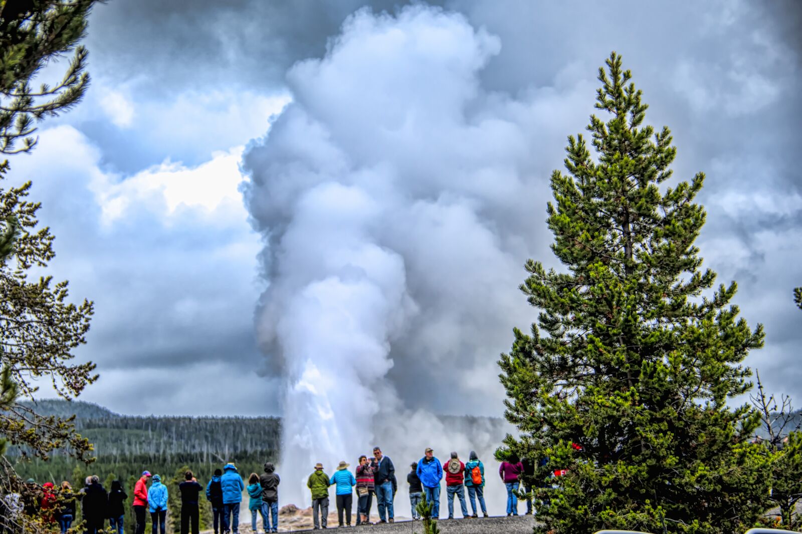 Nikon D850 sample photo. Old faithful, geyser, thermal photography