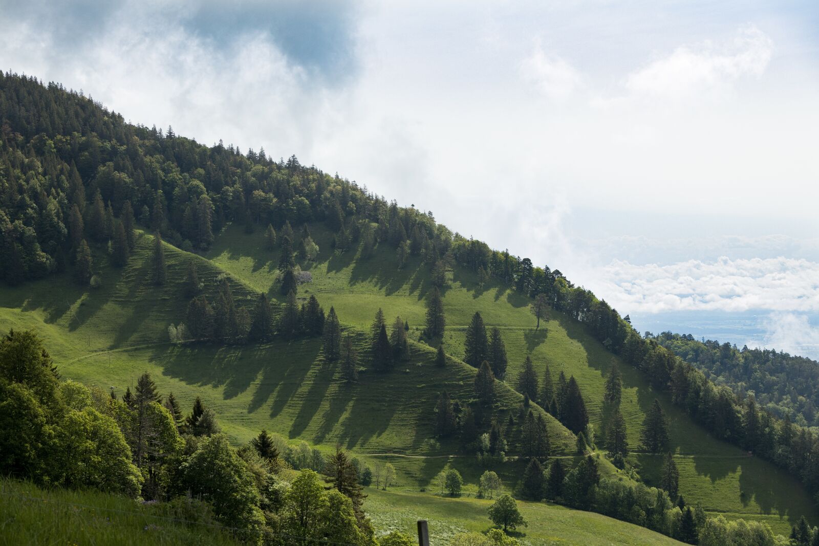 Canon EOS R sample photo. Jura, mountain, green photography
