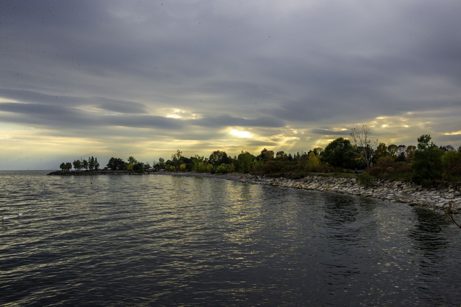 Nikon D610 sample photo. Toronto, lake, skies photography