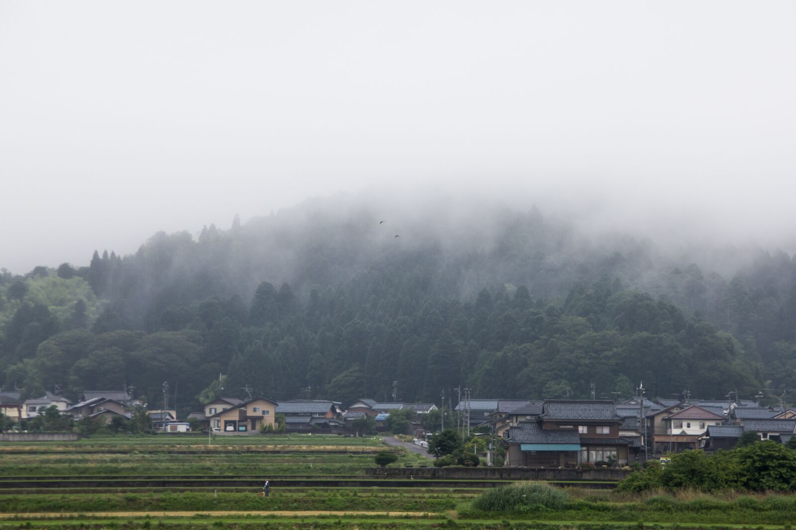 Canon EOS 550D (EOS Rebel T2i / EOS Kiss X4) sample photo. Mountains, japan, landscape photography