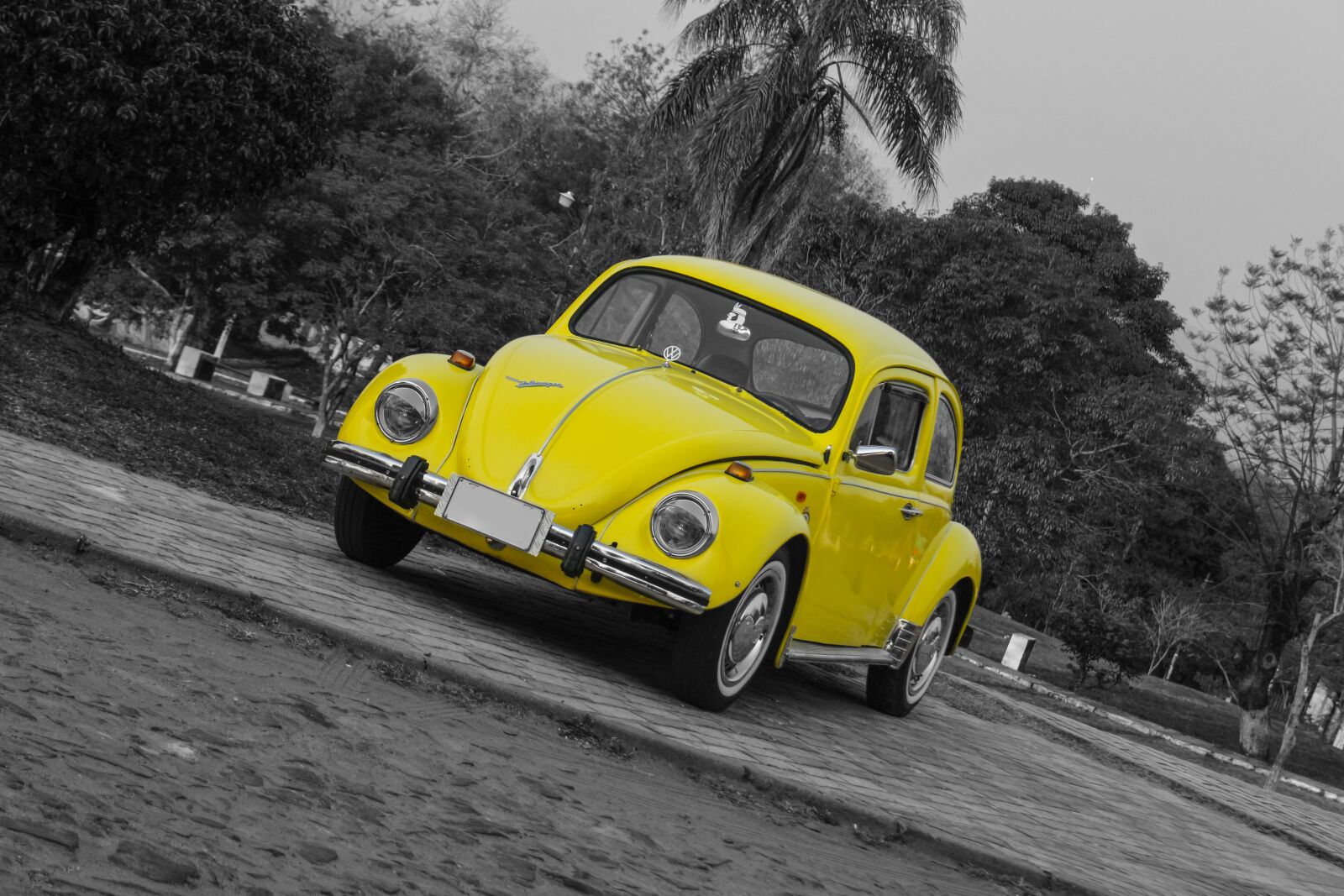 Canon EOS 700D (EOS Rebel T5i / EOS Kiss X7i) sample photo. Advertising, marketind digital, 2018 photography