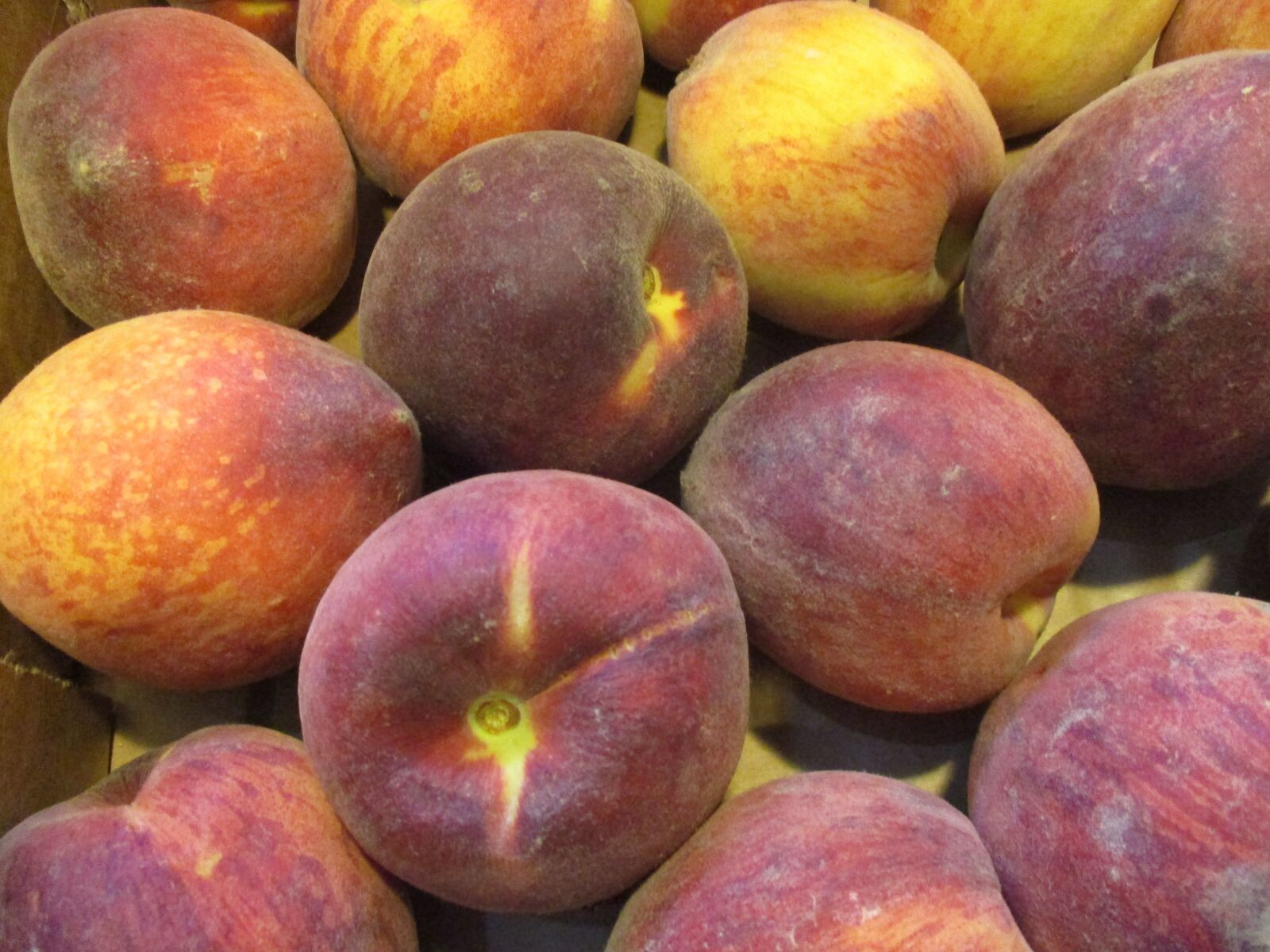 Canon IXUS 185 sample photo. Peaches, fruit, summer fruit photography