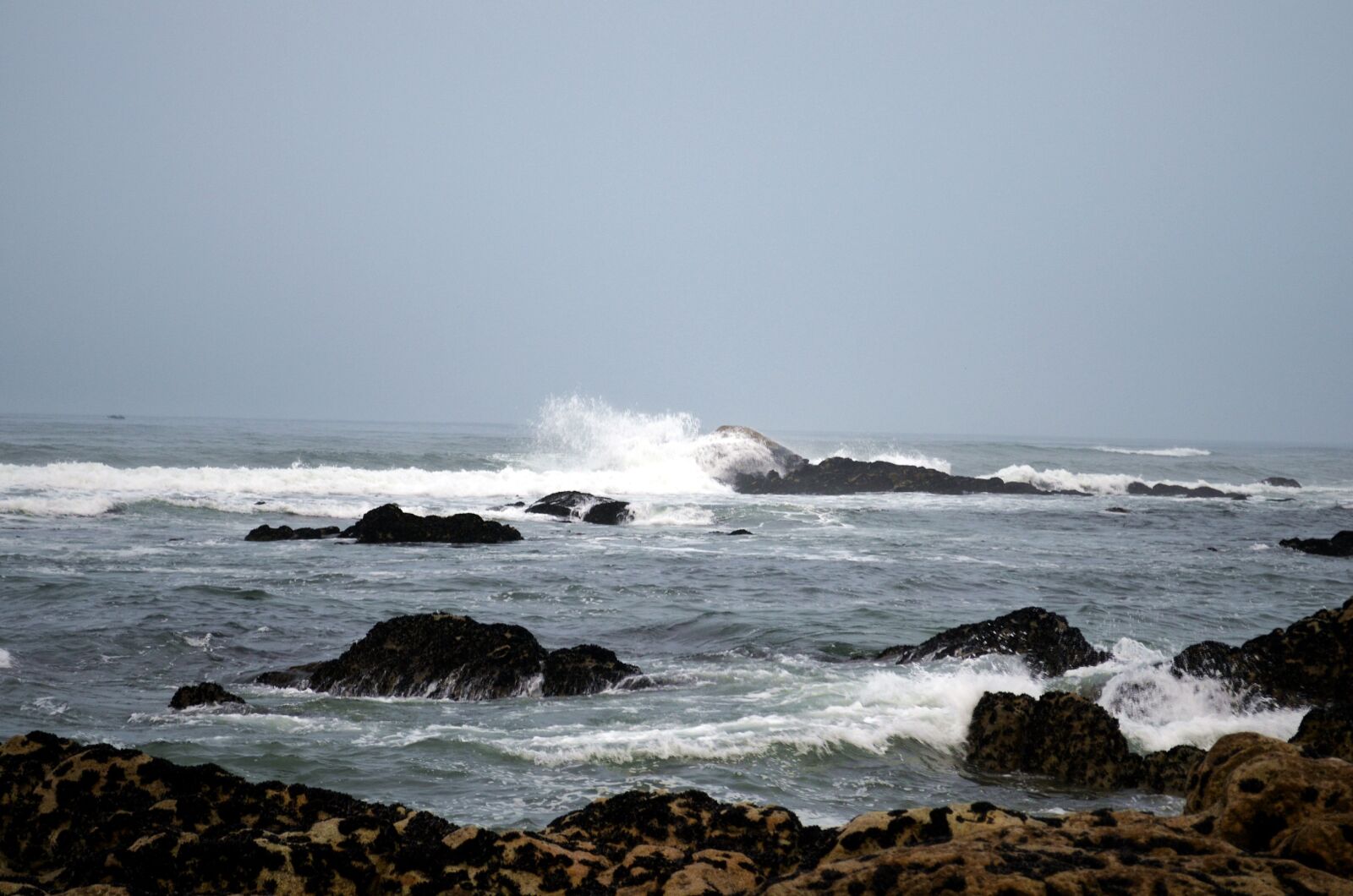 Nikon D5100 sample photo. Portugal, ocean, building photography